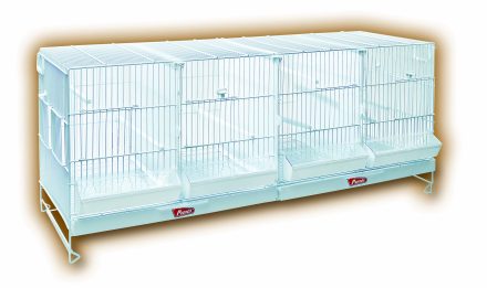 Jaulon de Cria 1m. Zincado – 101x36x42 cm.